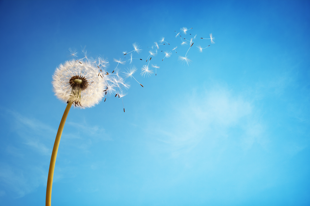 5 Tips To Find Relief For Itchy Allergy Eyes